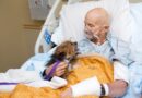 Un uomo esaudisce il suo ultimo desiderio: vedere il suo cane prima di morire